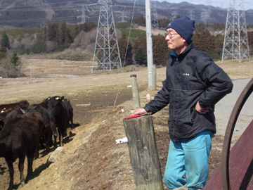 牛たちを見つめるエム牧場の村田淳さん